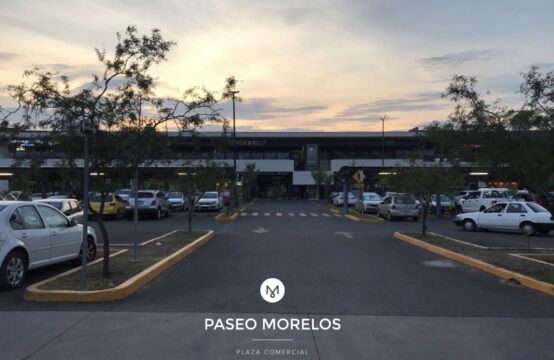 Local Paseo Morelos 42