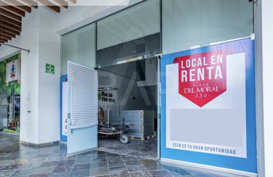 Local Plaza del Moral 330