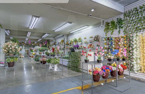 Local Aquiles Serdán Zona Centro