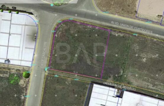 Terreno Salida a Santa Rosa Plan de Ayala